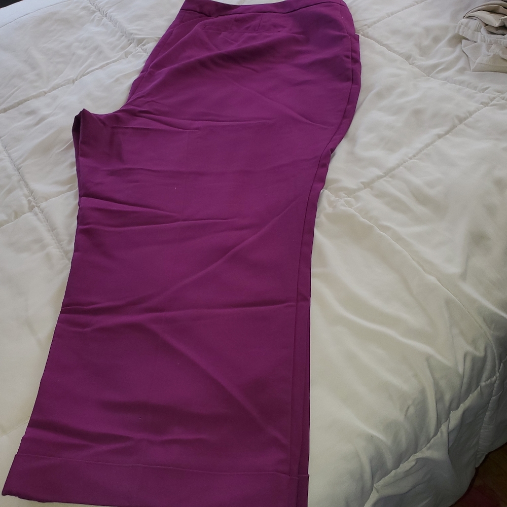 Lane Bryant Pants